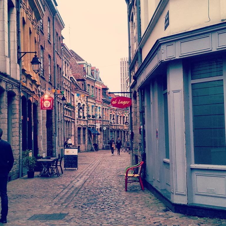 Lille Centre Ville, Beaux Arts Et Grand Palais, Bienvenue Chez Nestyou ลีลล์ ภายนอก รูปภาพ