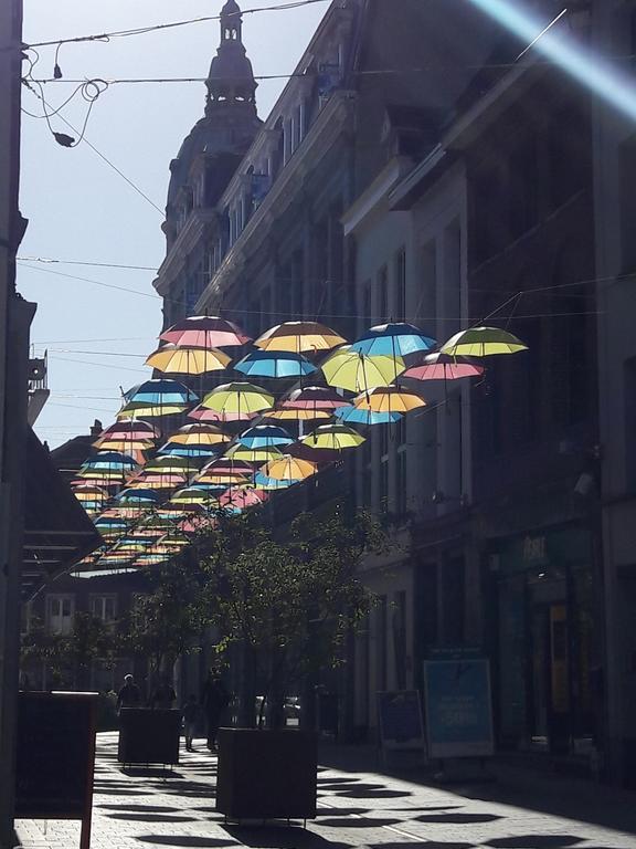 Lille Centre Ville, Beaux Arts Et Grand Palais, Bienvenue Chez Nestyou ลีลล์ ภายนอก รูปภาพ