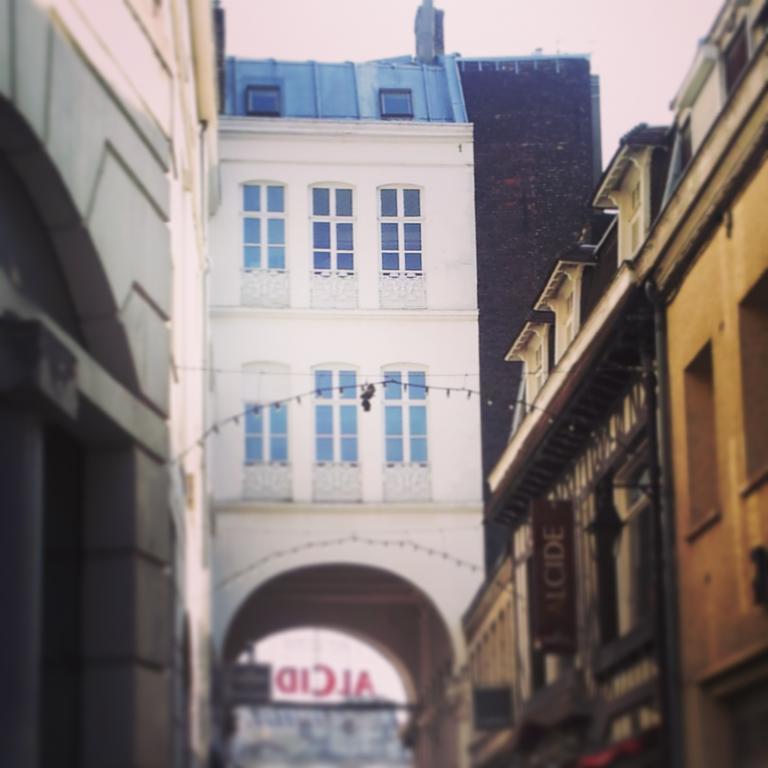 Lille Centre Ville, Beaux Arts Et Grand Palais, Bienvenue Chez Nestyou ลีลล์ ภายนอก รูปภาพ