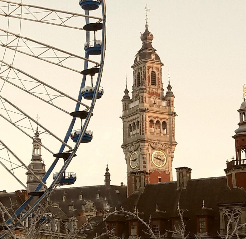Lille Centre Ville, Beaux Arts Et Grand Palais, Bienvenue Chez Nestyou ลีลล์ ภายนอก รูปภาพ